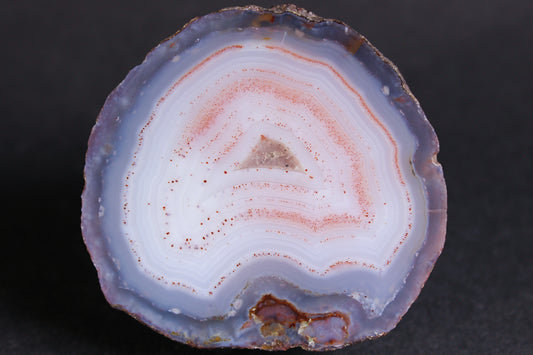 La Manea Achate + Adventskalender