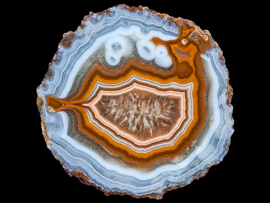 Messe München + Live Show