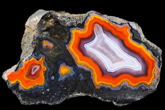 Parpart Sammlung + Live Show