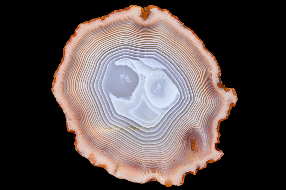 Rosa Achate von Kerrouchen