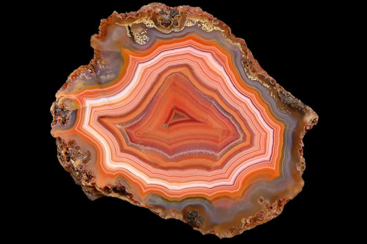 Alimajo XL Achate +  Meine erste Live Verkaufs-show auf YouTube!!