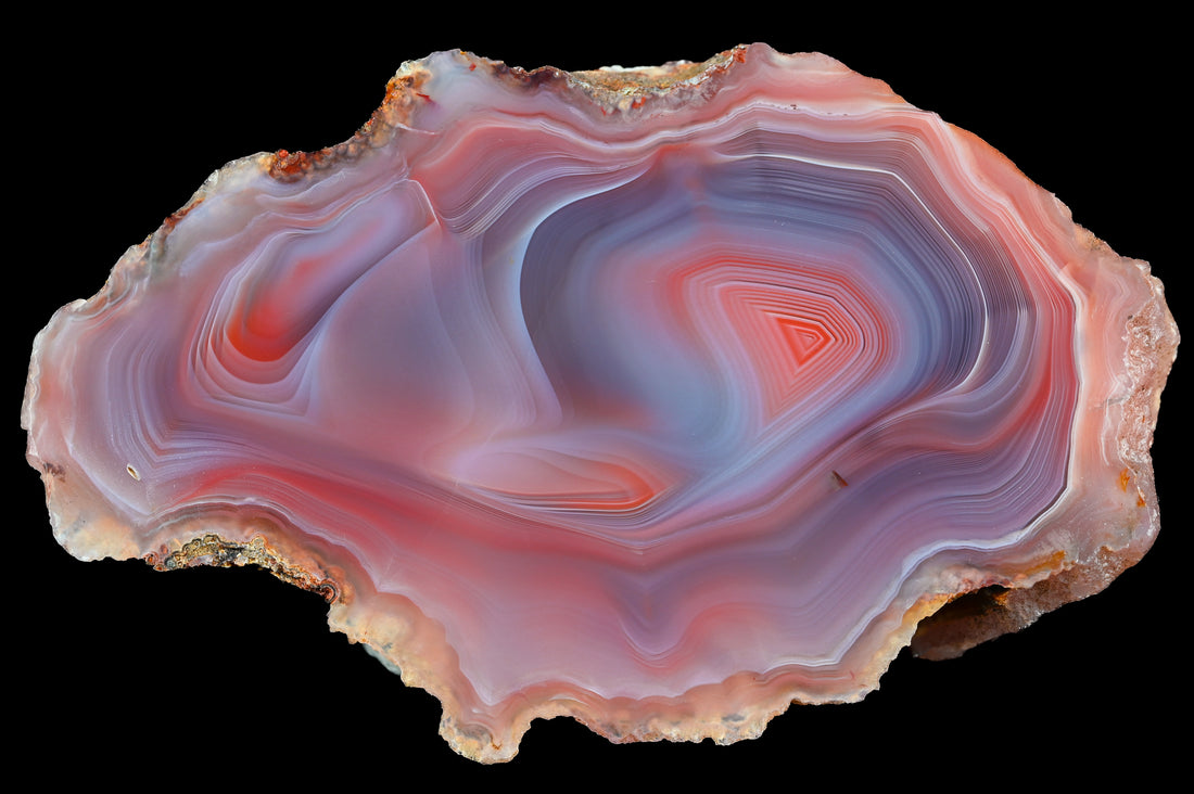 Black Friday Spezial